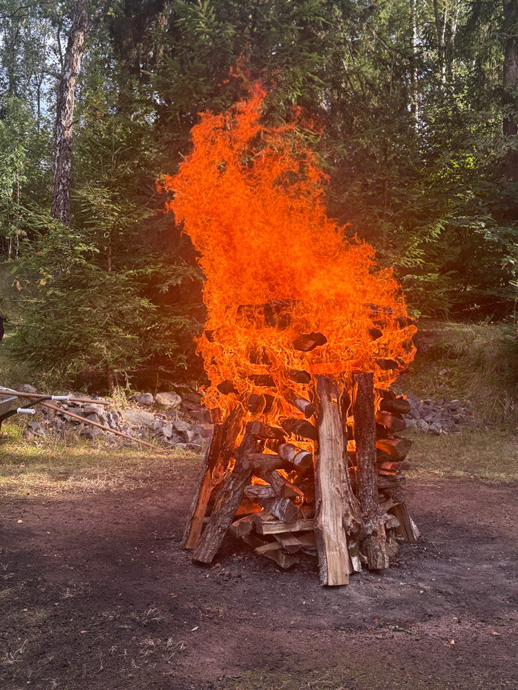 Großes Lagerfeuer vor einem Wald